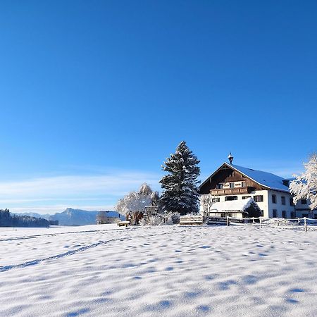 Bauernhofferien Oberduernberg Villa Seekirchen am Wallersee Dış mekan fotoğraf